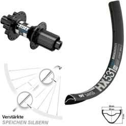 Dt-swiss Hinterrad 29 Zoll DT Swiss HX 531 Mit 350 Hybrid Boost 6-Loch