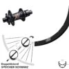 29 Zoll Hinterrad Ryde Rival 19 Mit DT Swiss 350 Nabe 12x142 Mm Sram XD