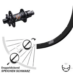 29 Zoll Hinterrad Ryde Rival 19 Mit DT Swiss 350 Nabe 12x142 Mm Sram XD