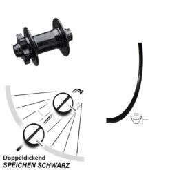 Dt-swiss 29 Zoll Vorderrad Giant Felge 21-622 Mit Formula DHDC-71 Nabe 15x100 Mm