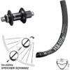 Dt-swiss Hinterrad 29 Zoll DT Swiss HX 491 DB Boost Shimano FH-M8110-B 12-fach
