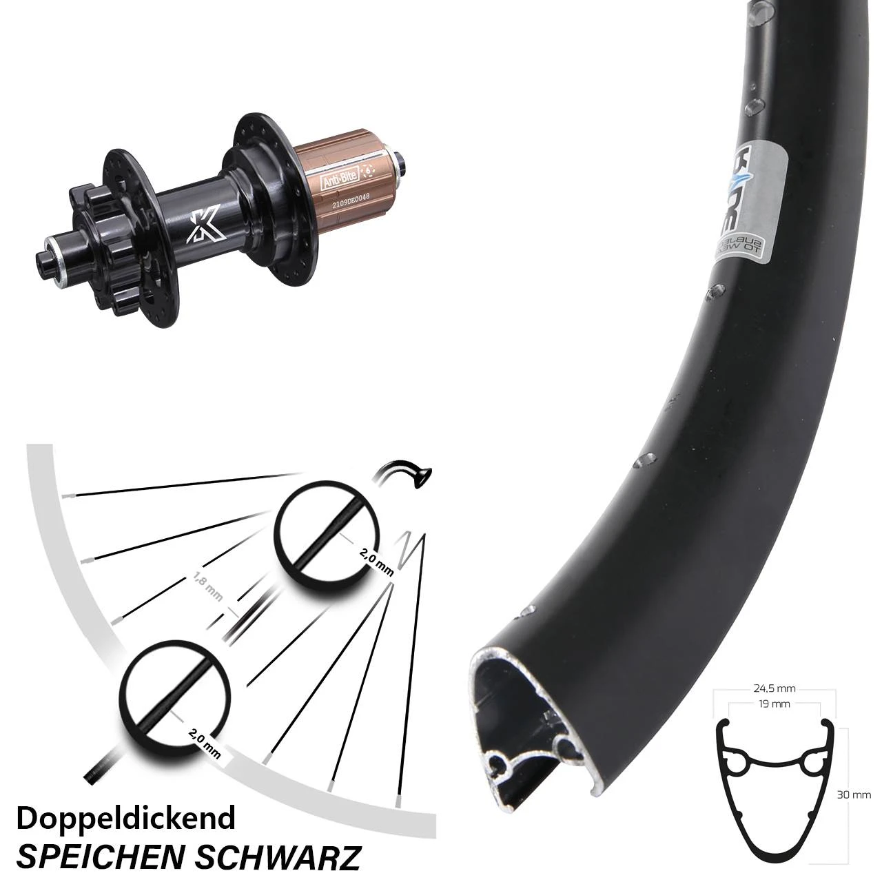 Ryde Dutch 19 Disc-Hinterrad 28-29 Zoll Mit KX-M 6-loch Nabe QR