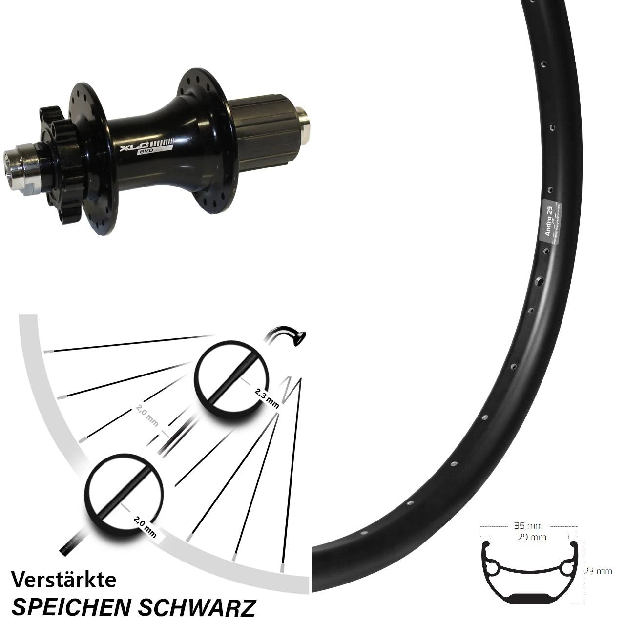 Ryde Andra 29 Hinterrad 29 Zoll Steckachse 12/142 Mm XLC Evo Nabe