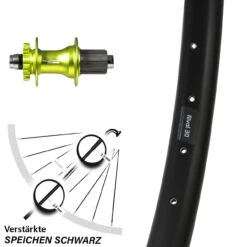 29 Zoll Laufrad XLC Evo Grün Eloxiert 142 Mm Steckachse Ryde Rival 30 Disc 6-Loch