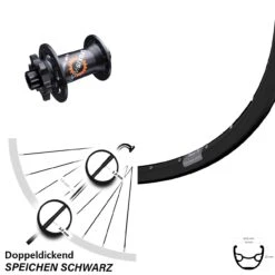 28-29 Zoll Laufrad Ryde Rival 19 Mit DT Swiss 350 SL Nabe 15x100 Mm