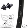 27,5+ Zolll Hinterrad Verstärkt Ryde Rival 35 Disc Mit KX-E Nabe 12x142 Mm 6-loch 11-fach