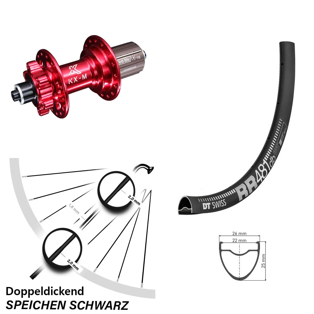 Dt-swiss KX-M Rot 5x135 Mm 11-fach DT Swiss RR 481 DB Hinterrad 28 Zoll FĂŒr 6-Loch