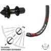 Dt-swiss DT Swiss 533D Hinterrad 27,5 Zoll Mit XLC Evo Nabe 8-11-fach Schwarz